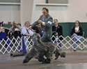 jimlet moving in the ring of fisherville knl club 2011