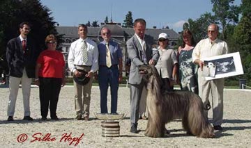 Sighthound Specialty in Donaueschingen