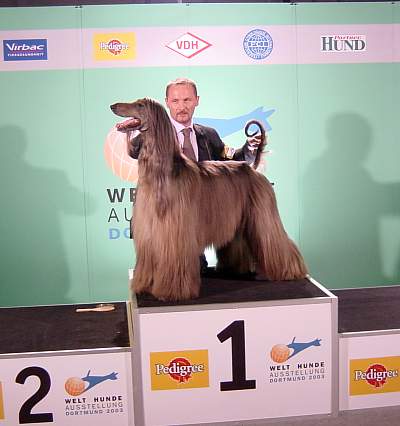 World Dog Show