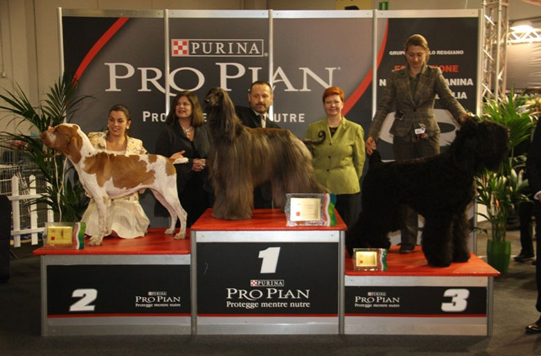 purina pro plan cup (i)